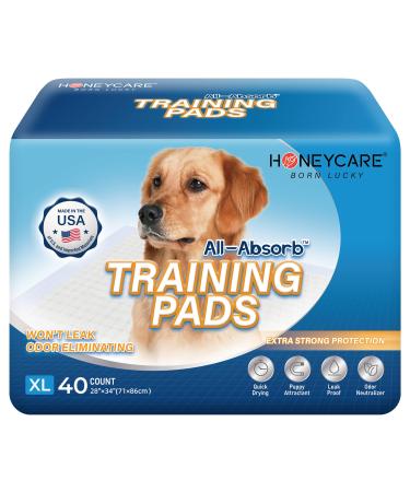 HONEY CARE All-Absorb, X-Large 28" x 34", 40 Count, Dog and Puppy Training Pads, Ultra Absorbent and Odor Eliminating, Leak-Proof 5-Layer Potty Training Pads with Quick-Dry Surface, Blue