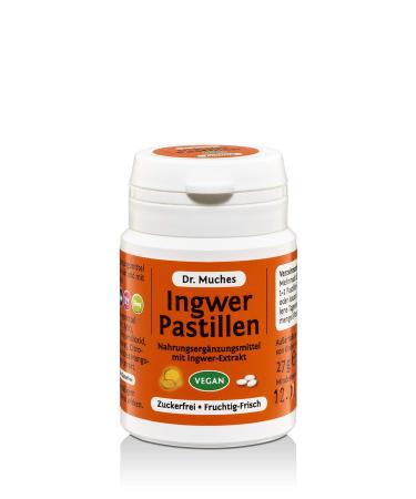Ginger Pastilles Dr.Muches |To suck or chewGinger kick for in between |Vegan and in organic quality |1x27 gr 27 g (1 Pack)