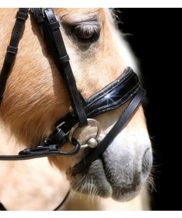 Tyssons Breeches Black Sis Leather Bridle for Mini Shetty & Falabella - Ergonomic Design for Mini Ponies - Buy Online on GoSupps.com