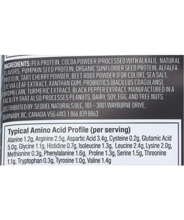 Vega Sport Performance Protein Powder - Chocolate 1.6 oz | Plant-Based Power for Athletes - Buy Online on GoSupps.com