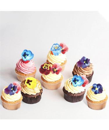 Blumomon 60Pcs Edible Pansy Flowers Cupcake Toppers Tricolor Viola Cake Topper Edible Flowers Cupcake Decoration Picks Wedding Baby Shower Party Wedding Anniversary Birthday Party Cupcake Decoration Flower-style1 - Buy Online on GoSupps.com