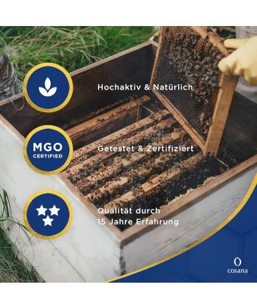 Buy Cosana Manuka Honey 400 MGO - 100% Pure Sealed & Certified from New Zealand | 250g Premium Quality - Buy Online on GoSupps.com