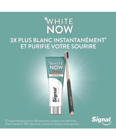 SIGNAL - White Now Detox Whitening Toothpaste - Clay & Coconut Extract - 3X whiter teeth from the first brushing - 96% natural whitening ingredients - 75ml - Buy Online on GoSupps.com
