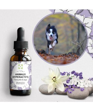Conseil fleur de Bach - Fleurs de Bach Animaux hyperactifs - Ce m lange va permettre votre animal de s'apaiser de l'aider se canaliser se mod rer s'auto discipliner et de retrouver du calme 10 ml (Lot de 1)