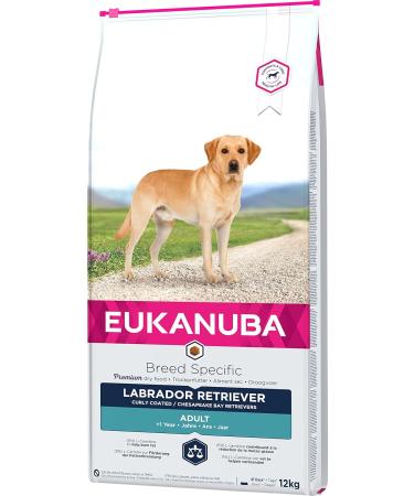 Eukanuba Breed Specific Labrador Retriever Dry Food - Premium Chicken Formula 12 kg | Optimal Nutrition for Healthy Labs - Buy Online on GoSupps.com