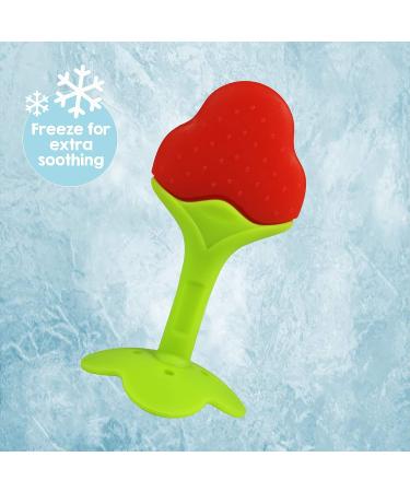 RaZbaby Infant & Baby Massager Teether Toy 3-Pack - Fruit-Shaped Multi-Texture Teethers | Soothes Sore Gums, BPA-Free Silicone, Hands-Free & Freezable | Safe for Babies 3M - Buy Online on GoSupps.com