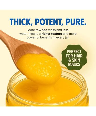  The Seamoss Jungle Sea Moss Gel - Ananas - Saint Lucia - 100% Wildcrafted - 395 ml - Buy Online on GoSupps.com