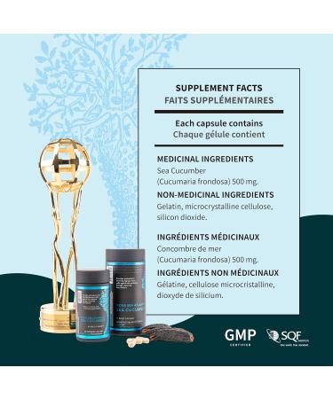 Nova Sea Atlantic Wild Sea Cucumber Supplement Capsules Antioxidant Anti-inflammatory Healthy Energy Supplement with Fucosylated Chondroitin Sulfate Collagen Glycosides Vitamins Minerals 60 count (Pack of 1) - Buy Online on GoSupps.com