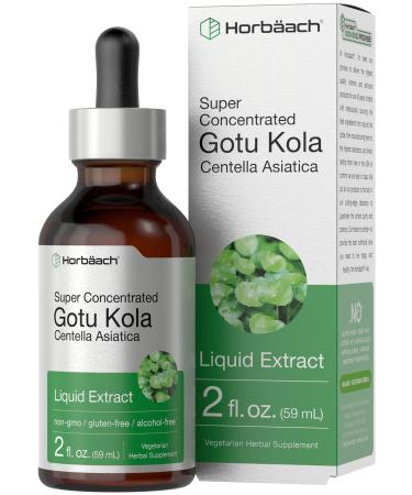 Horb ach Gotu Kola Extract | 2 fl oz | Alcohol Free | Super Concentrated Liquid Herb Supplement | Vegetarian Non-GMO Gluten Free