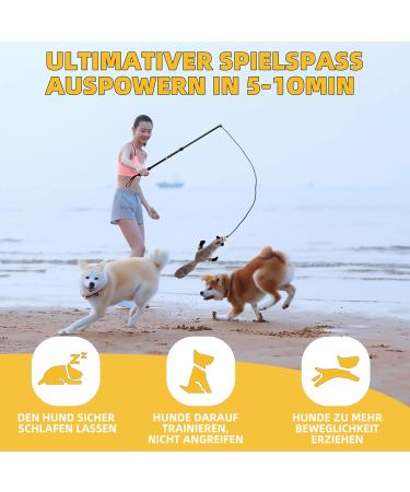 KOXXUD Charm for Dogs - Professional Fun & Utilization for Small to Big Dogs | Martin R tter Design - Buy Online on GoSupps.com