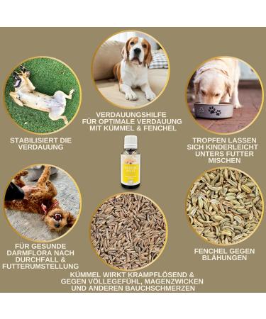 Intestinal Cure Dog Active Herbs Drops I First Aid Digestion - Gastrointestinal Intestinal Flora I Restorative Food - Diarrhea Flatulence I Intestinal Sanitation 30ml - Buy Online on GoSupps.com