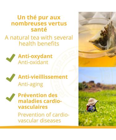  Khla Khla - Organic Soir White Tea - Pack of 80 Pyramid Infuser Sachets - Pai Mu Tan & Licorice Mix - Fine & Rare Organic - Asian Tea Evening & Night - China Origin - Herbal Tea & Infusion - Buy Online on GoSupps.com