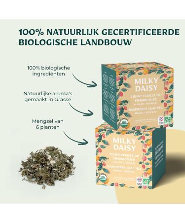Milky Daisy Organic Raspberry Leaf Tea Tropical Mango Flavor Pregnancy Painful Periods and Breastfeeding 40 Tea Bags - Buy Online on GoSupps.com