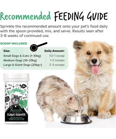BUGALUGS Plaque Off Remover For Cats 70g Teeth & Bad Breath 100% Natural | Plaque Off Cats No Need For Cat Toothbrush or Cat Toothpaste | Remove Cat Bad Breath & Plaque Remover For Cats Cat 70g - Buy Online on GoSupps.com