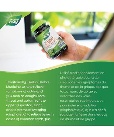 Nature's Way European Elderberry Capsules - Cold and Flu Symptom Relief Cough Sore Throat Support Supplement Elderberry Berries & Flower - Non-GMO Verified - Vegetarian - For Adults & Kids - 100 Capsules - Buy Online on GoSupps.com