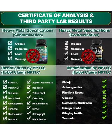 Boysea.Shilajit and Sea Moss Bundle- 90 Count - Sea Moss, Black Seed Oil, Ashwagandha, Ginger & Shilajit, Rhodiola Rosea, All in 1 Supplements (1 Pc) 90 Count (Pack of 2) - Buy Online on GoSupps.com