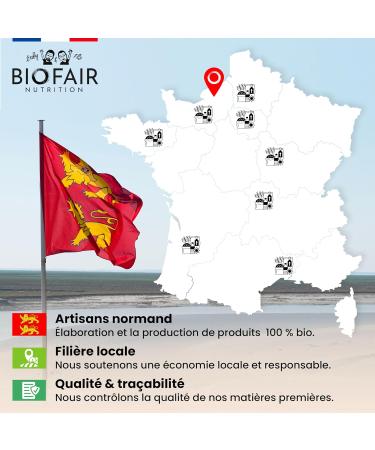 BIOFAIR NUTRITION - Economical size 3 packs Organic plant protein almond 500 g/20 doses 12.8 g protein/dose My dose of healthy and responsible protein Made in France - Buy Online on GoSupps.com