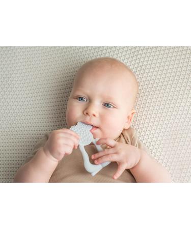 GILIGUMS 21323 Koala Teether Ring - Soft Grey Teething Toy for Babies | Shop Worldwide - Buy Online on GoSupps.com