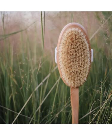 Croll & Denecke 60071 Bath Brush with Handle - Premium Quality Soft Bristles for Gentle Cleansing | International Shipping Available - Buy Online on GoSupps.com