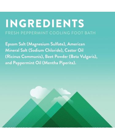 Little Moon Essentials Cooling Foot Bath Salt - Fresh Peppermint 13.5 oz - Buy Online on GoSupps.com