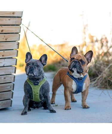 DOG Copenhagen Comfort Walk Go Dog Harness - Hunting Green Size S | International Shipping Available - Buy Online on GoSupps.com