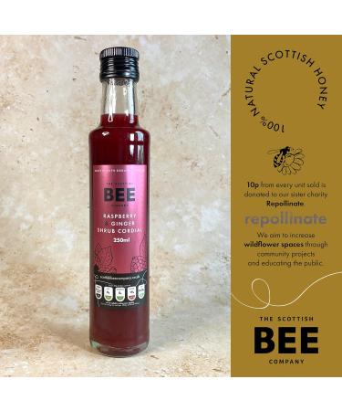 Scottish Bee Co. 250ml Raspberry & Ginger Shrub Cordial | Apple Cider Vinegar Infused | Made in Scotland - Buy Online on GoSupps.com