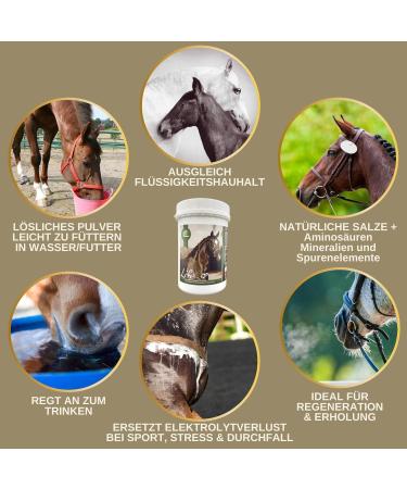 100% Natural Electrolyte Powder with Amino Acids for Horses | Hydrating Performance & Recovery Formula | 700g | Vitamins & Magnesium Included - Buy Online on GoSupps.com