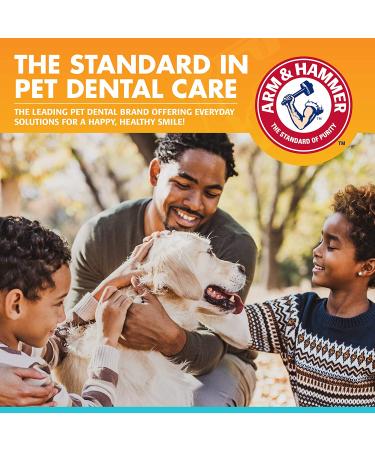 Arm & Hammer Fresh Breath Dental Spray for Dogs - Mint 4 fl oz | Best Oral Care - Buy Online on GoSupps.com