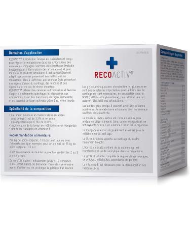 RECOACTIV Joint Tonic Strong for Dogs 3 x 90 ML Dietary Food Supplement for Degenerative Joint Diseases with Green Mussel and Glucosamine - Buy Online on GoSupps.com