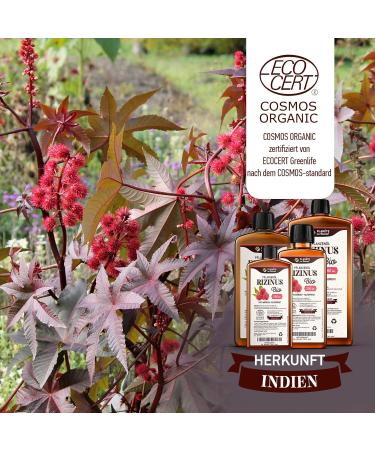 Organic Castor Oil 250 ml - 100% Pure & Cold Pressed for Eyelashes Eyebrows Hair Beard & Nails - Natural Beauty Essential - Buy Online on GoSupps.com