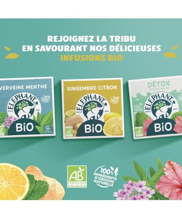 Elephant Organic Sweet Night Infusion Chamomile Lemon Balm and Lavender Flavor Well-Being and Relaxation 100% Natural Ingredients - Buy Online on GoSupps.com