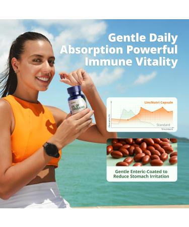 LincNutri Oil of Oregano with Black Seed Oil & Vitamin D3 Enteric-Coated Softgels for Gentle, Delayed-Release Immune & Digestive Support Mild Taste, Easy to Swallow 120 Softgels, 60-Day Supply - Buy Online on GoSupps.com