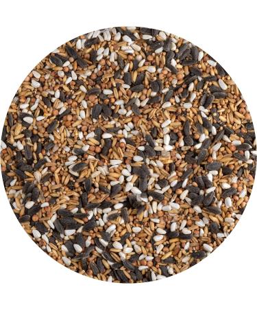 Vitakraft Vita Garden Classic Mix Bird Food for Wild Birds - Nutrient-Rich Sugar-Free 1kg | Shop Internationally - Buy Online on GoSupps.com