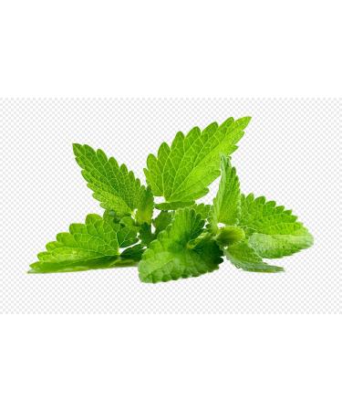 Buy Organic Peppermint Capsules | Premium Quality & Fast International Shipping - Buy Online on GoSupps.com
