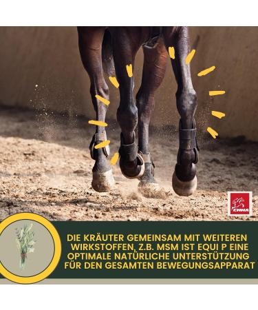 Buy MSM Horse Willow Bark - Equi P Booster with Glucosamine & Chondroitin for Senior Horses | High-Dose Vitamin C & Beer Yeast for Joint Health - Buy Online on GoSupps.com