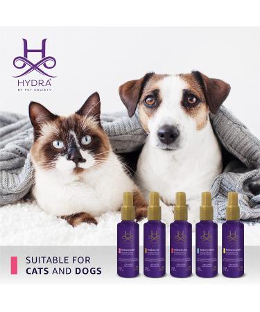 Hydra Forever Love Pet Cologne 4.4oz - Grooming Spray for Dogs and Cats | Finishing Cologne | Long-Lasting Fragrance - Buy Online on GoSupps.com