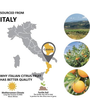 Sweet Orange Essential Oil 1 oz - 100% Pure & Natural | Therapeutic Grade Italian Orange Oil - Premium Quality - Buy Online on GoSupps.com