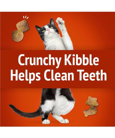 Friskies Party Mix Cat Treats Gravy-Licious Crunch Chicken and Gravy - 454 g Cannister (1 Pack) & Party Mix Cat Treats Mixed Grill Crunch with Real Chicken - 454 g Cannister (1 Pack) 454 g (Pack of 1) Cat Treats+ 454 g (Pack of 1) - Buy Online on GoSupps.com
