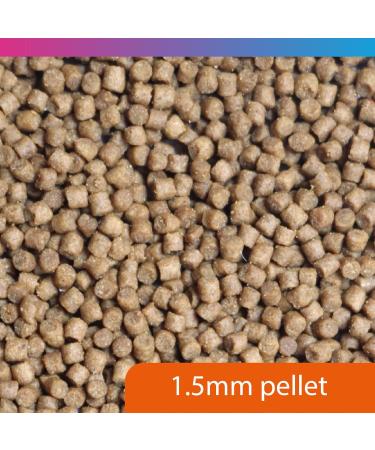bubbacare NT Labs Pro-F Catfish Pellet 60g - Buy Online on GoSupps.com