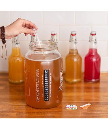 Organic 1-Gallon Kombucha Brewing Starter Kit with SCOBY, Starter Tea, Thermometer, pH Strips & More - Buy Online on GoSupps.com