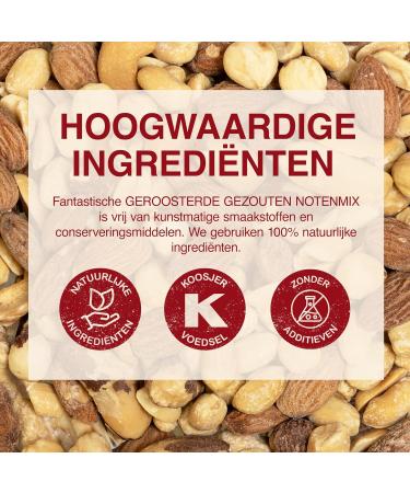 Tropgo Nut Mix Roasted 500g Salted Nut Mix Freshly Packed Healthy Nuts with Fiber Protein Minerals Perfect Snack Contains Almonds Brazil Nuts Cashew Nuts Peanuts Hazelnuts - Buy Online on GoSupps.com