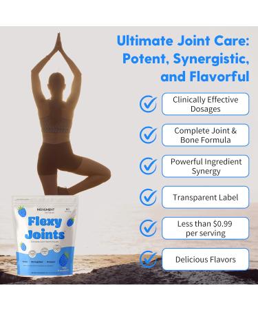 Flexy Joints Complete Joint Support Powder - Glucosamine Chondroitin MSM Boswellia D3 K2 for Mobility & Inflammation Relief - Blue Raspberry Flavor | 60 Servings - Buy Online on GoSupps.com