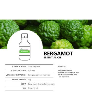 Bergamot Essential Oil 1 oz (30ml) -100% Natural and Pure Therapeutic Grade-Premium Quality Sourced from Italy-Natural Stress Reliever and Mood Lifter - Buy Online on GoSupps.com