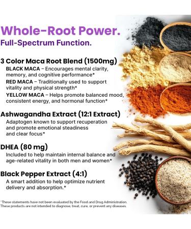 6-in-1 Organic Maca Root Ashwagandha Capsules 1710mg with DHEA and Black Pepper Fruit Extract for Women and Men - Black Maca Supplement for Stamina, Bone and Mood Support Supplement, 120 count Regular 120 Count (Pack of 1) - Buy Online on GoSupps.com