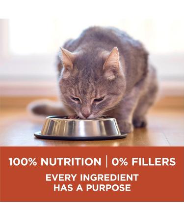 Purina ONE +Plus Dry Cat Food Healthy Weight Turkey - 1.8 kg Bag - Buy Online on GoSupps.com