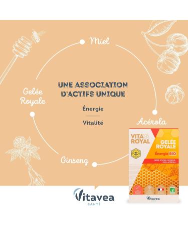 Vitavea - Vita'Royal BIO Energy - Fatigue reduction Natural defenses Natural Benefits of the Hive - Royal Jelly Ginseng Honey Acerola - 10 ampoules - Made in France - Buy Online on GoSupps.com