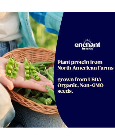 Enchant Organic Protein Powder Vanilla Almond flavor 20g Plant Protein sourced from North American Farms 5g Prebiotic + fiber USDA Organic Non-GMO Plant-based Non-Dairy Vegan 0.84 lb - Buy Online on GoSupps.com