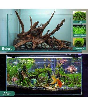 Natural Driftwood Aquarium Decor - Assorted Branches for Reptile/Fish Tank (2 Pack, 9-14 inch) - Buy Online on GoSupps.com