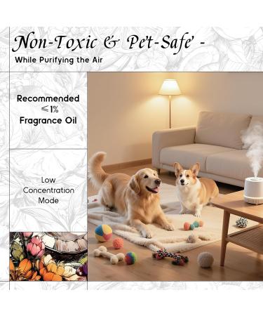 HIQILI 30ML Rosemary Essential Oil & 30ML Solar Berries Fragrance Oil for DIY Diffuser - Buy Online on GoSupps.com