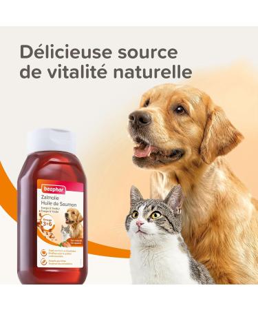 BEAPHAR Salmon oil for dogs and cats Food supplement Omega 3 and 6 Beneficial for the cardiovascular system coat and joints Energy intake 430 ml - Buy Online on GoSupps.com